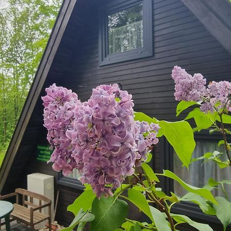 Ferienhaus Marie 125 Bad Arolsen Kültér fotó